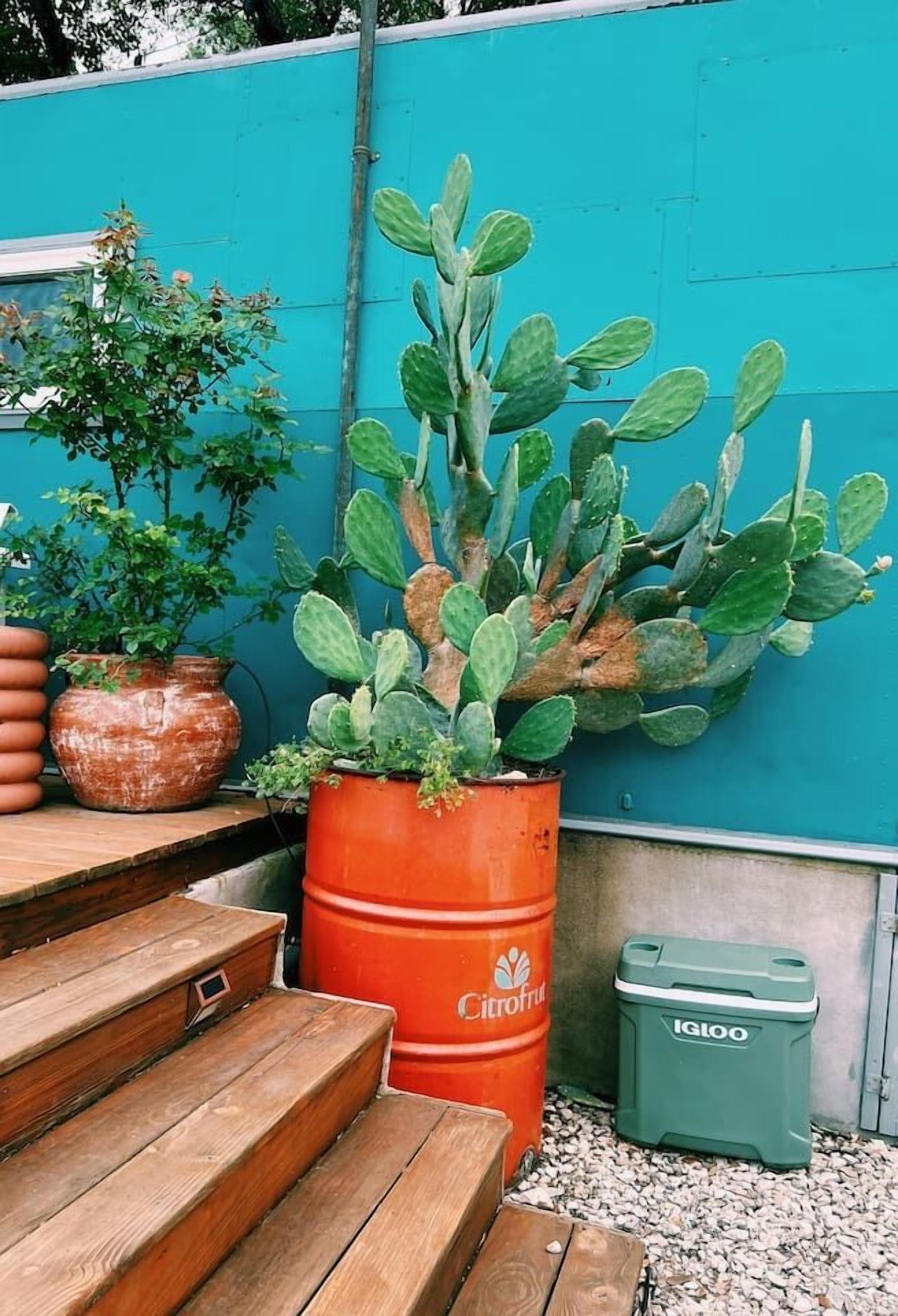 Enceinte de l’hébergement