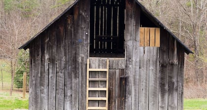 Cottage, Axe Throwing, Fire Pit, Creek, Close to AT and TC. Fenced yard