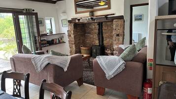 Télévision, cheminée