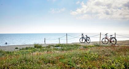 Pet friendly home in Stege with WiFi