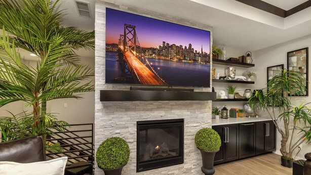 A modern living room with a large flat-screen TV mounted above a fireplace, surrounded by potted plants and a stone wall. - Elegant + Modern Home + Patio (Waukee)
