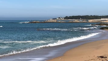 Plage à proximité, chaises longues, serviettes de plage