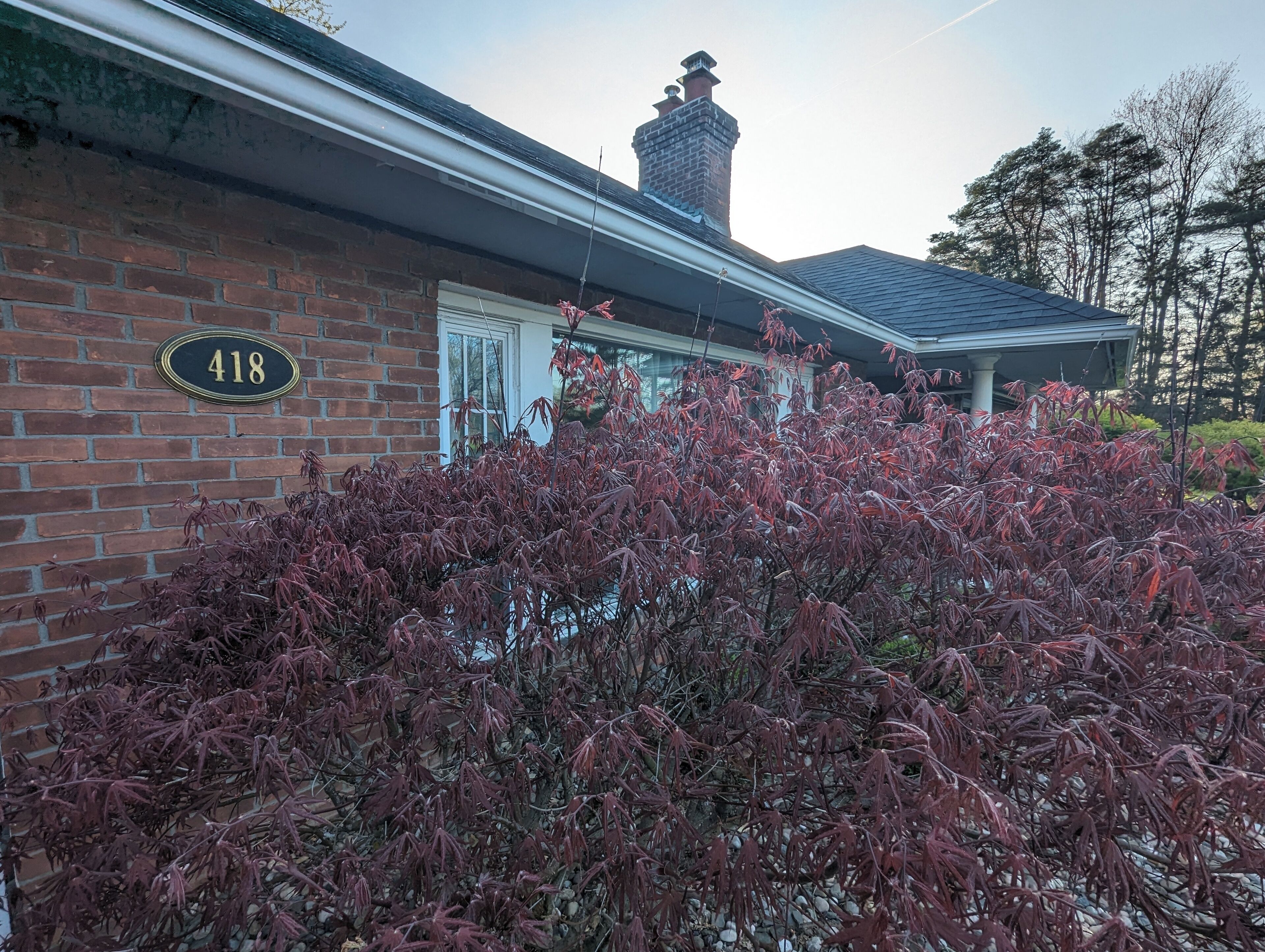 Country living on nearly 5 Acres! Family and large party friendly.  WIFI!