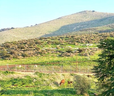 Casa Gilboa - The perfect country getaway.