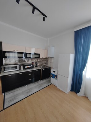 Fridge, microwave, oven, dishwasher - Villa Tbilisi, Georgia (T'bilisi)