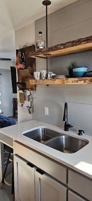 Cozinha moderna com pia dupla, prateleiras de madeira e planta pendente.