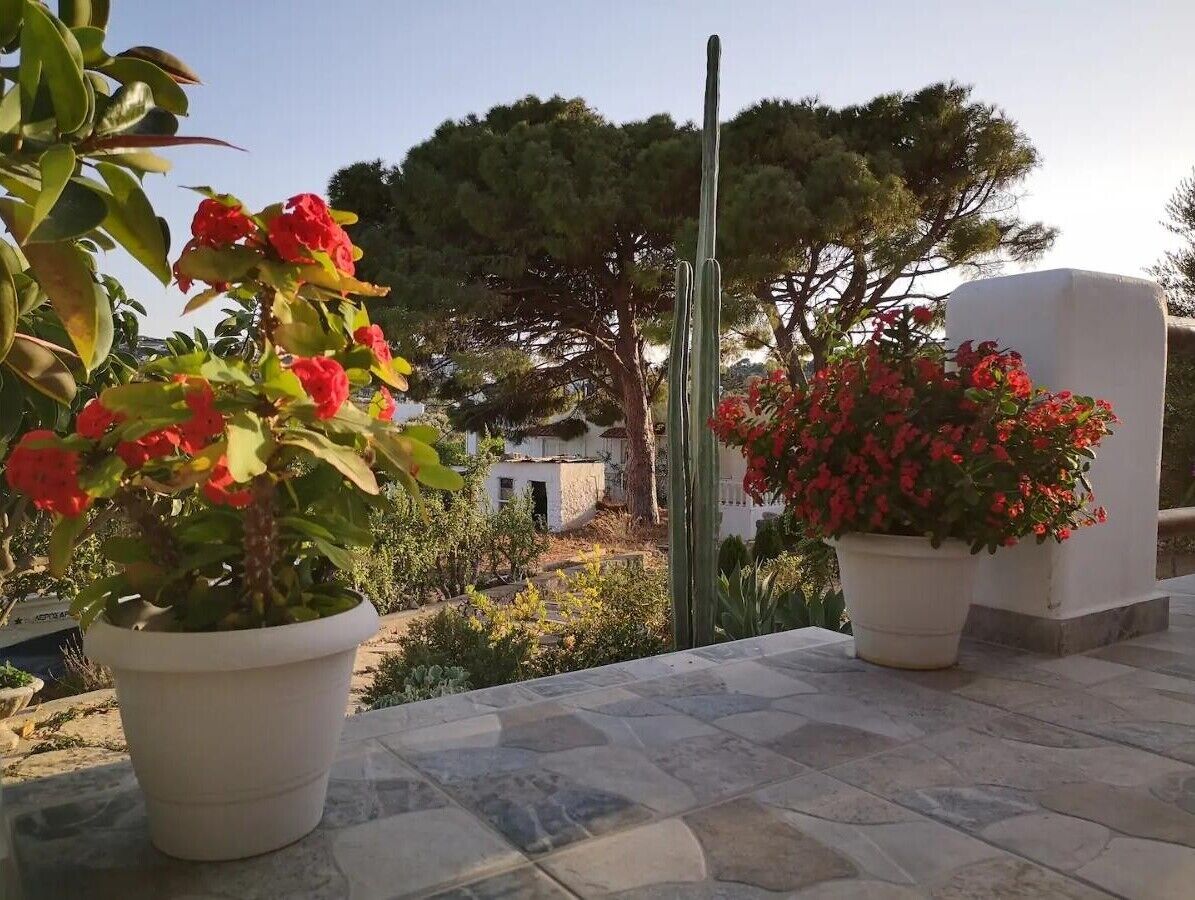 Une terrasse agrémentée de plantes en pot, offrant une vue sur un immeuble à la façade blanche.