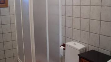 A bathroom with a toilet, a sink, and a shower area.