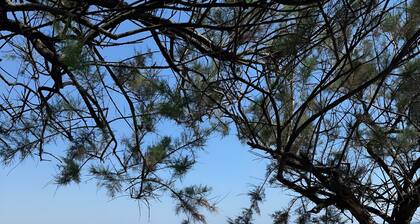 Villa 'Torretta - Mare Salento' with Sea View, Private Garden and Air Conditioning