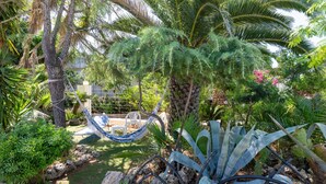 A garden with a hammock, palm trees, and various plants.