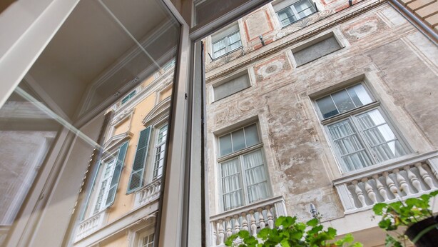 Une vue à travers la fenêtre d’un immeuble à étages, doté de balcons, avec une plante en pot au premier plan.