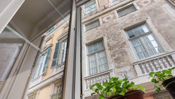 A view through a window of a building with multiple floors, balconies, and a potted plant in the foreground.