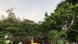 A covered outdoor seating area with tables and chairs, surrounded by greenery and trees. - 1 Bedroom Apartment in Zanzibar (Zanzibar)