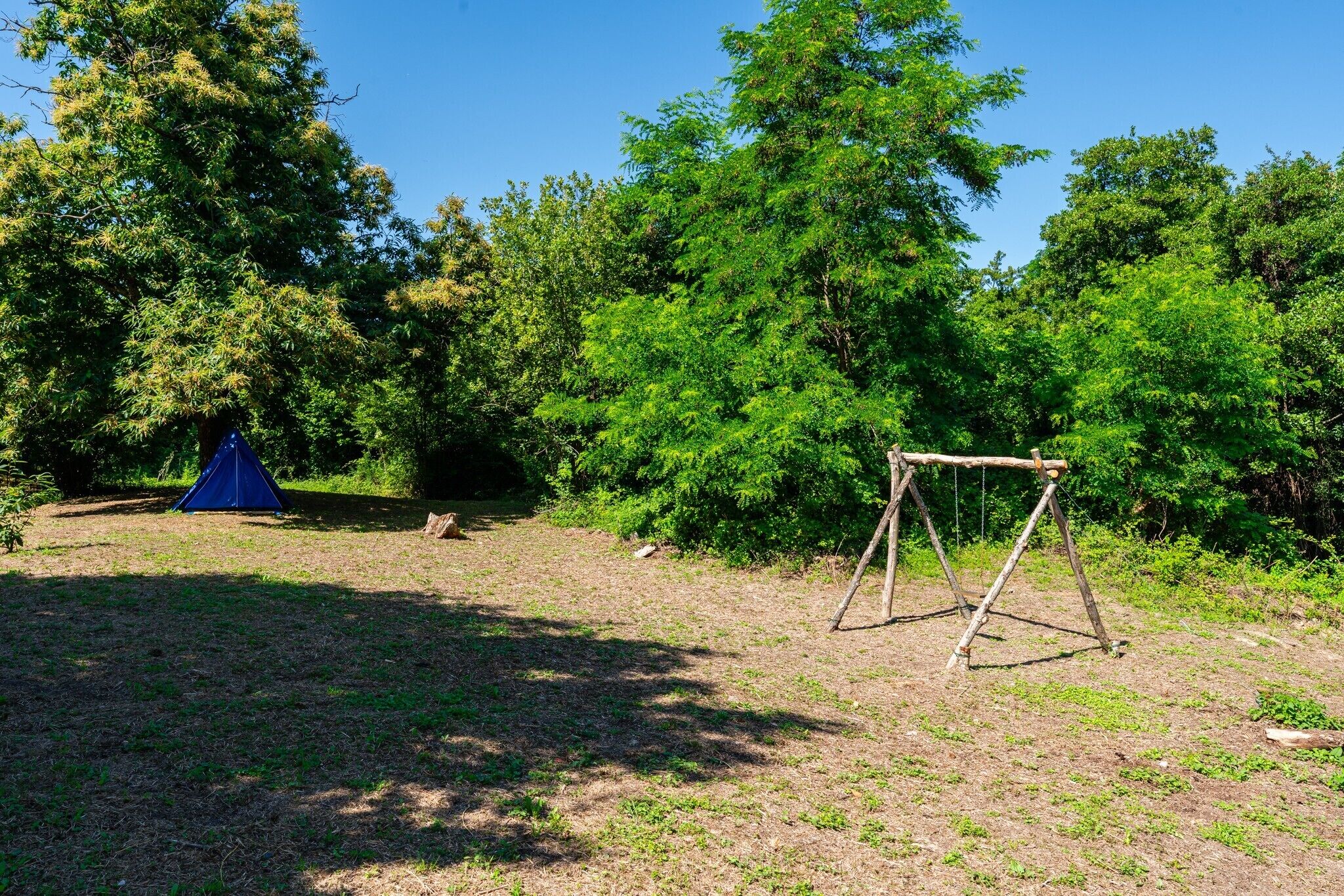 A campsite with a blue tent and a wooden swing set.