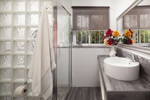 Chuveiro, secador de cabelo, toalhas de banho 