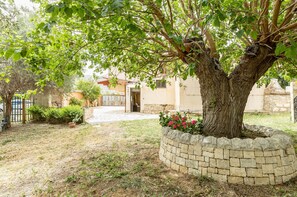 Property grounds - Villa Idea - Comiso's Serene Country Retreat (Barco)