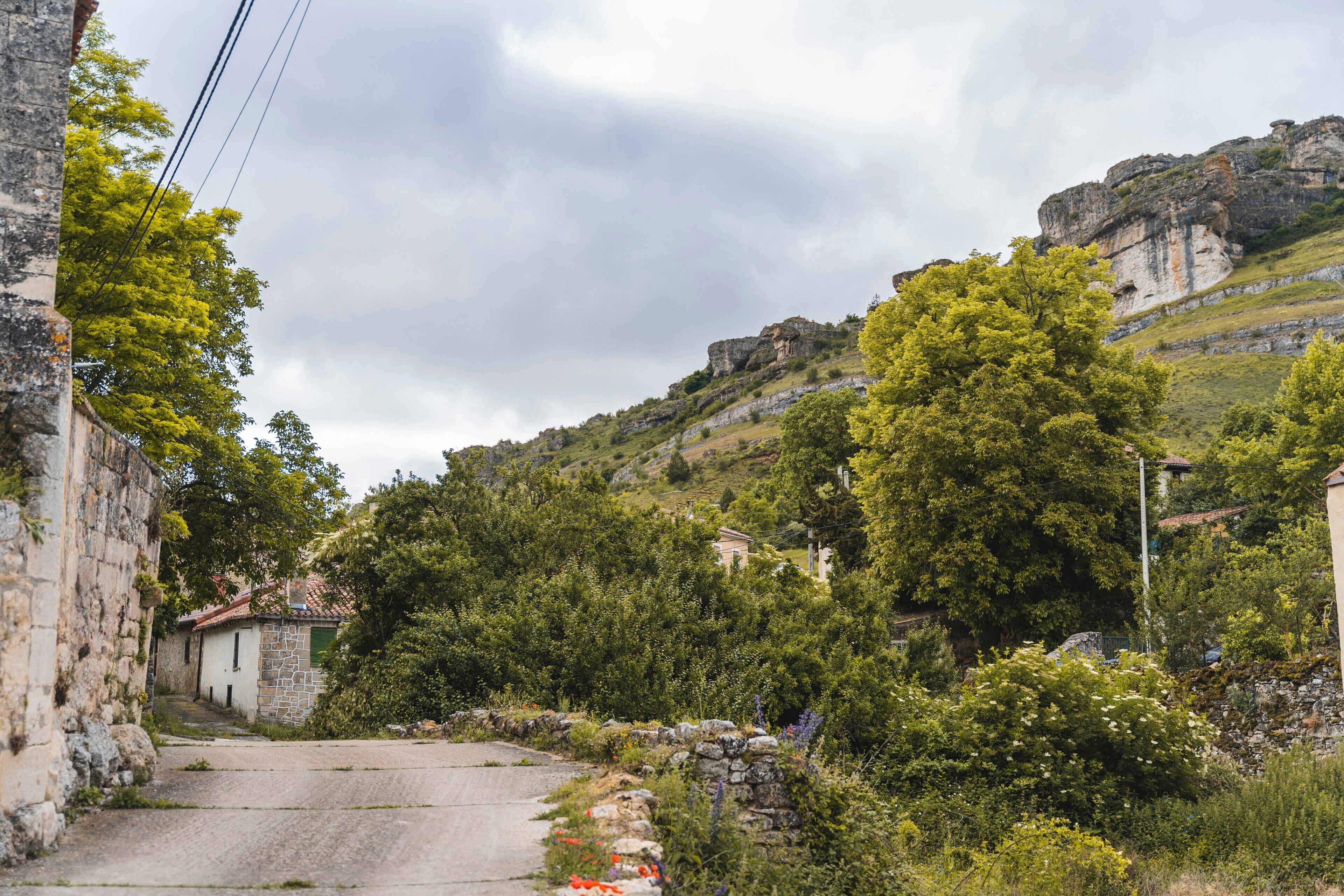 Un carrer estret amb parets de pedra i vegetació, que condueix a un edifici amb teules vermelles.