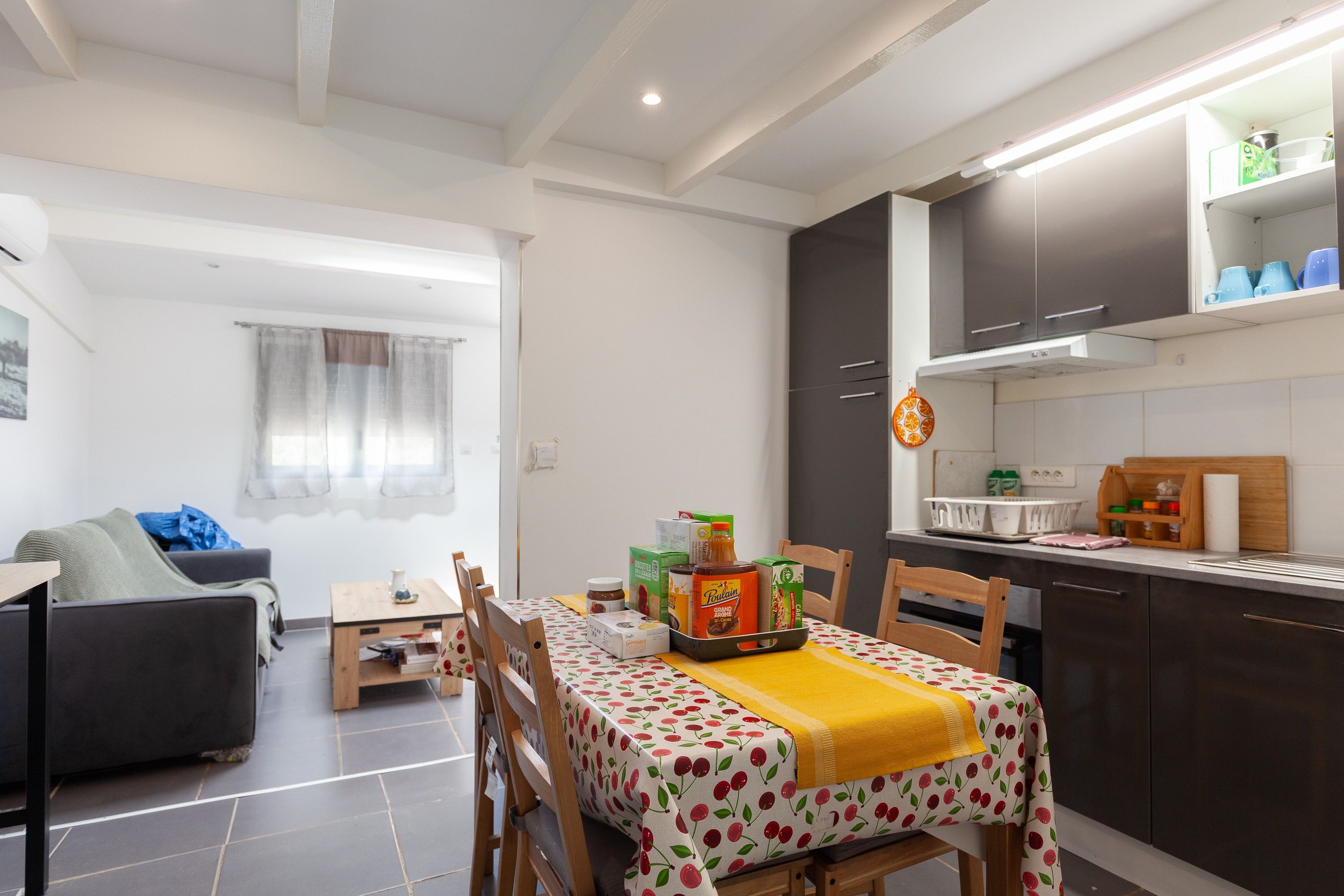A compact living space with a dining area, kitchenette, and a sofa in the living room.