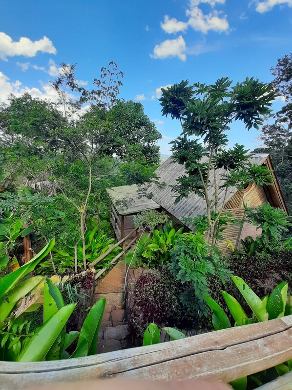 A lush garden with a wooden structure, surrounded by dense foliage and a clear blue sky.