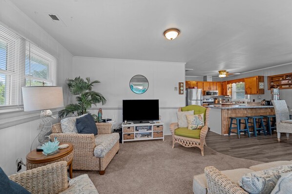 TV, DVD player, books, video library