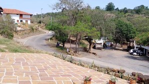 Un área pavimentada con baldosas de piedra, una carretera que se curva a la derecha y algunas plantas en macetas.