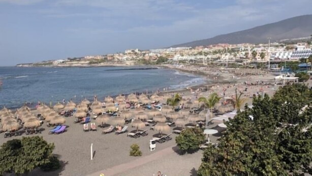 Une plage avec des parasols en chaume et des chaises longues, un ciel dégagé et une ville côtière en arrière-plan.