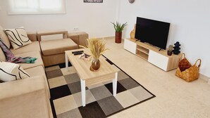 A modern living room with a sofa, coffee table, TV, and decorative items.