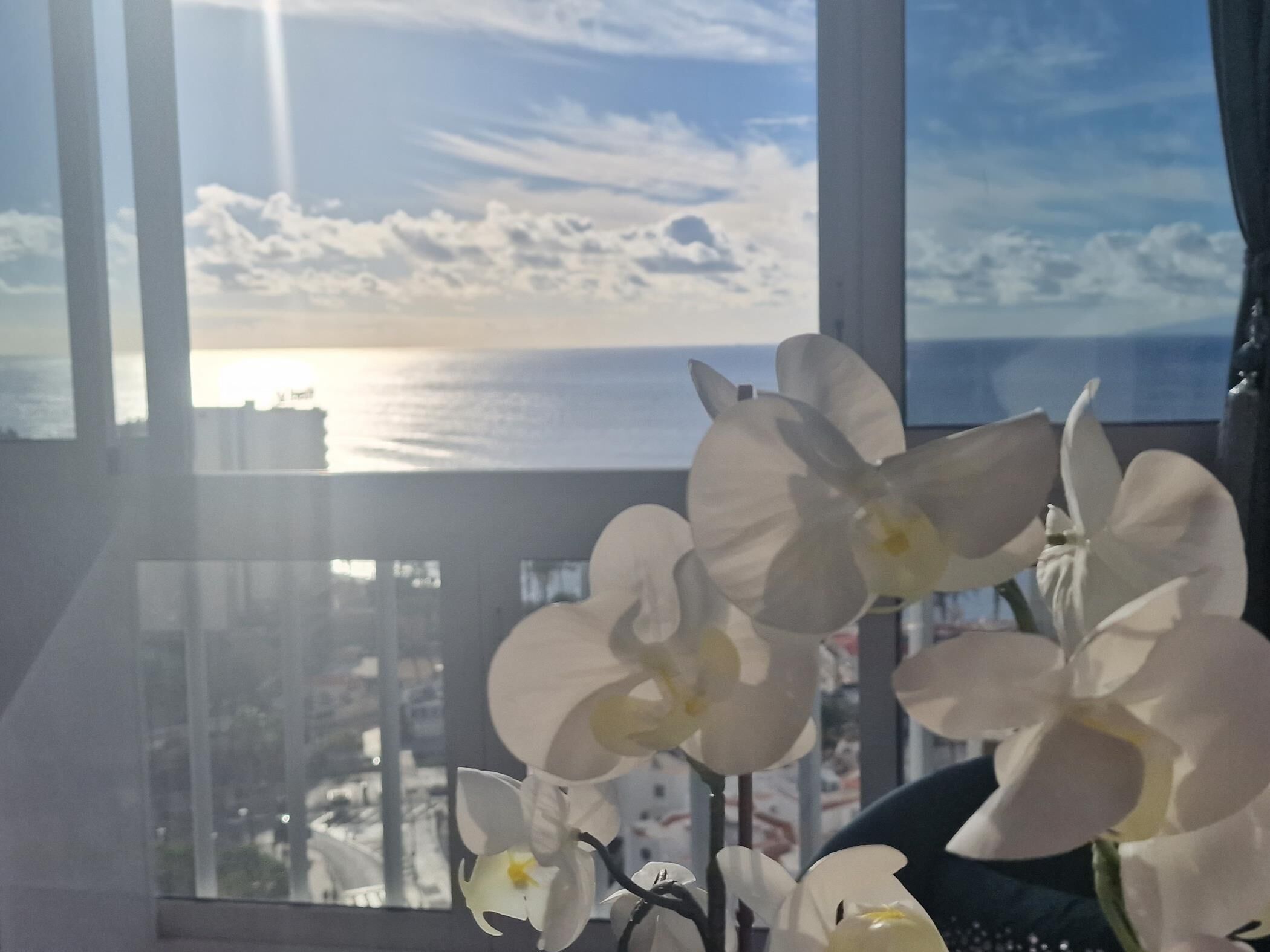 A room with a large window overlooking a coastal view, featuring white orchids in a vase.