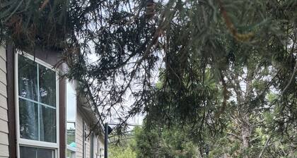 Hidden in the trees!Reasonable Rates-Sleeps 12-Includes kayak for 4.New listing!