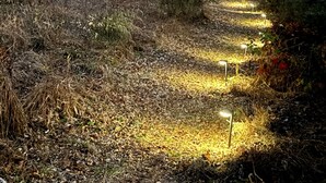 A forest path with small lights along the trail. - Scenic New Paltz Escape: River Views, Hot Tub & Deck | Dream House in the Gunks (New Paltz)