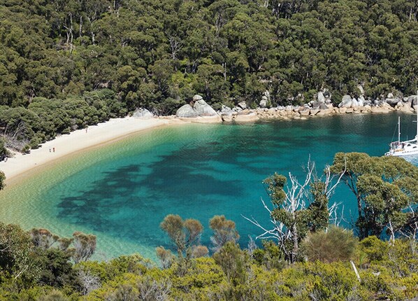 بالقرب من الشاطئ