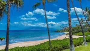 A beach with palm trees and a clear blue sky.