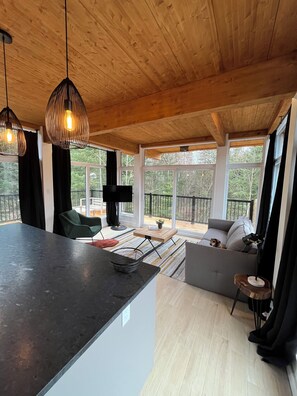 Smart TV, books, stereo - Chalet LoMA (Saint-Raymond)