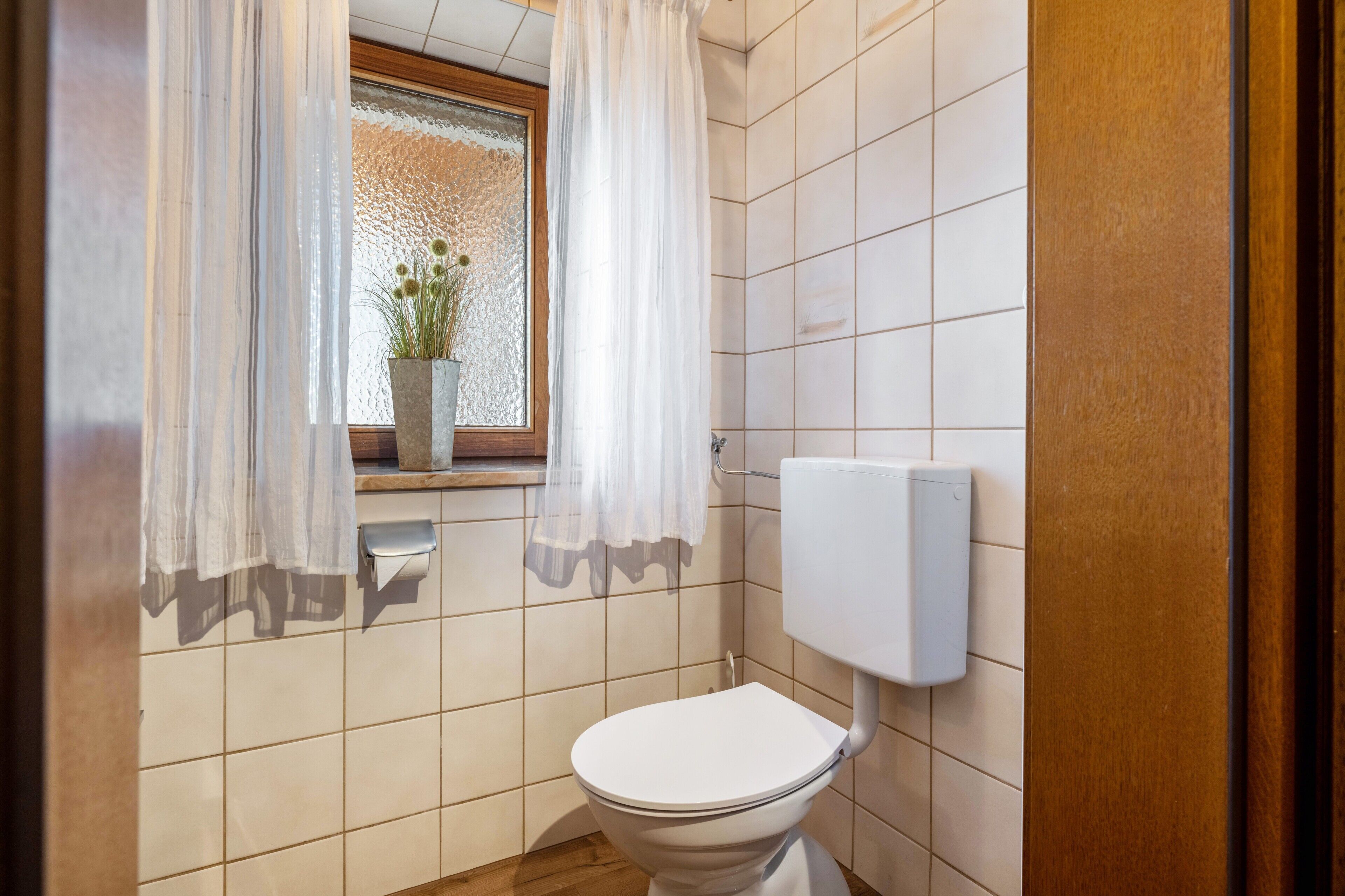 Un baño con inodoro, una ventana con cortinas y una planta en el alféizar.
