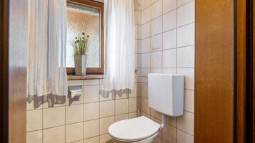 Un baño con inodoro, una ventana con cortinas y una planta en el alféizar.