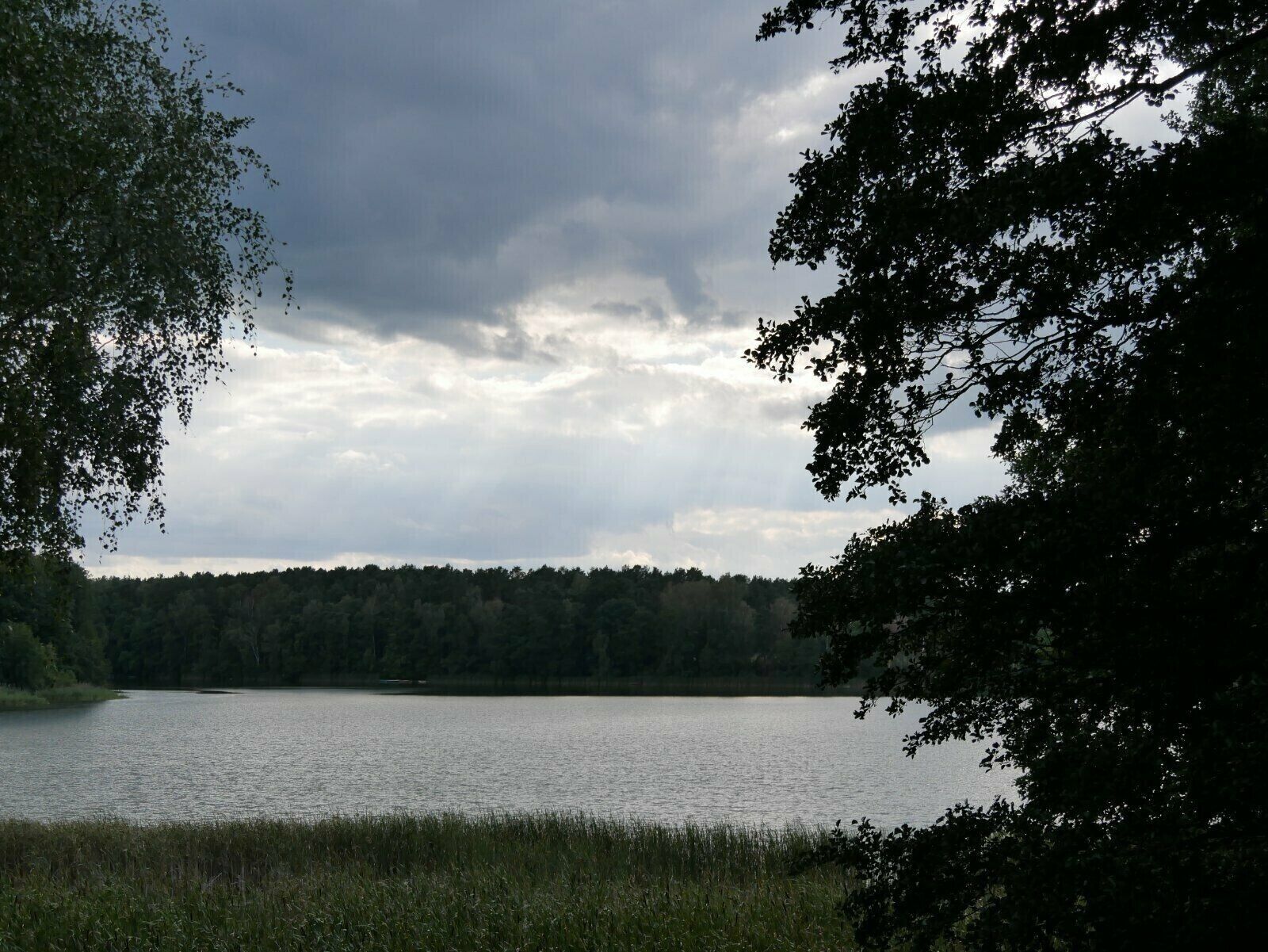 A lake surrounded by trees and a cloudy sky.