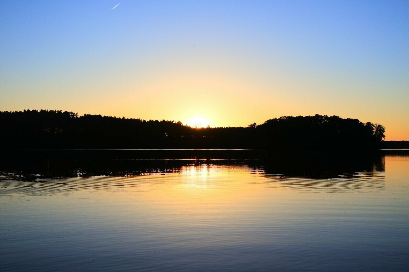 Ein ruhiger See bei Sonnenuntergang, im Vordergrund eine Baumsilhouette und ein klarer Himmel.