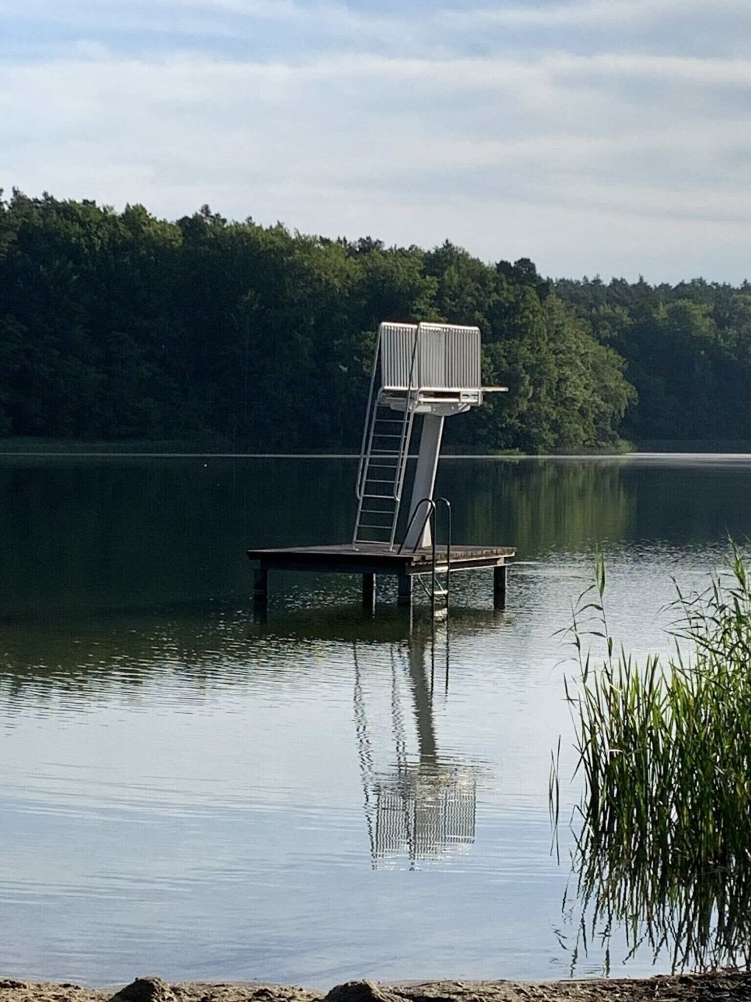 Eine Steganlage mit einer Leiter und einem Stuhl, umgeben von ruhigem Wasser und einer bewaldeten Uferlinie.