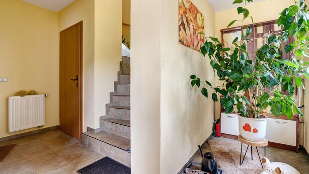 A staircase leading to a second floor, a potted plant, a radiator, and a door.