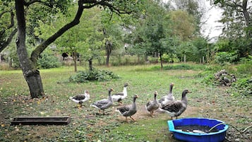 Overnatningsstedets område