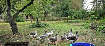 Ferienhaus 'Ferienhaus Sonnenhof' mit privater Terrasse, privatem Garten und WLAN