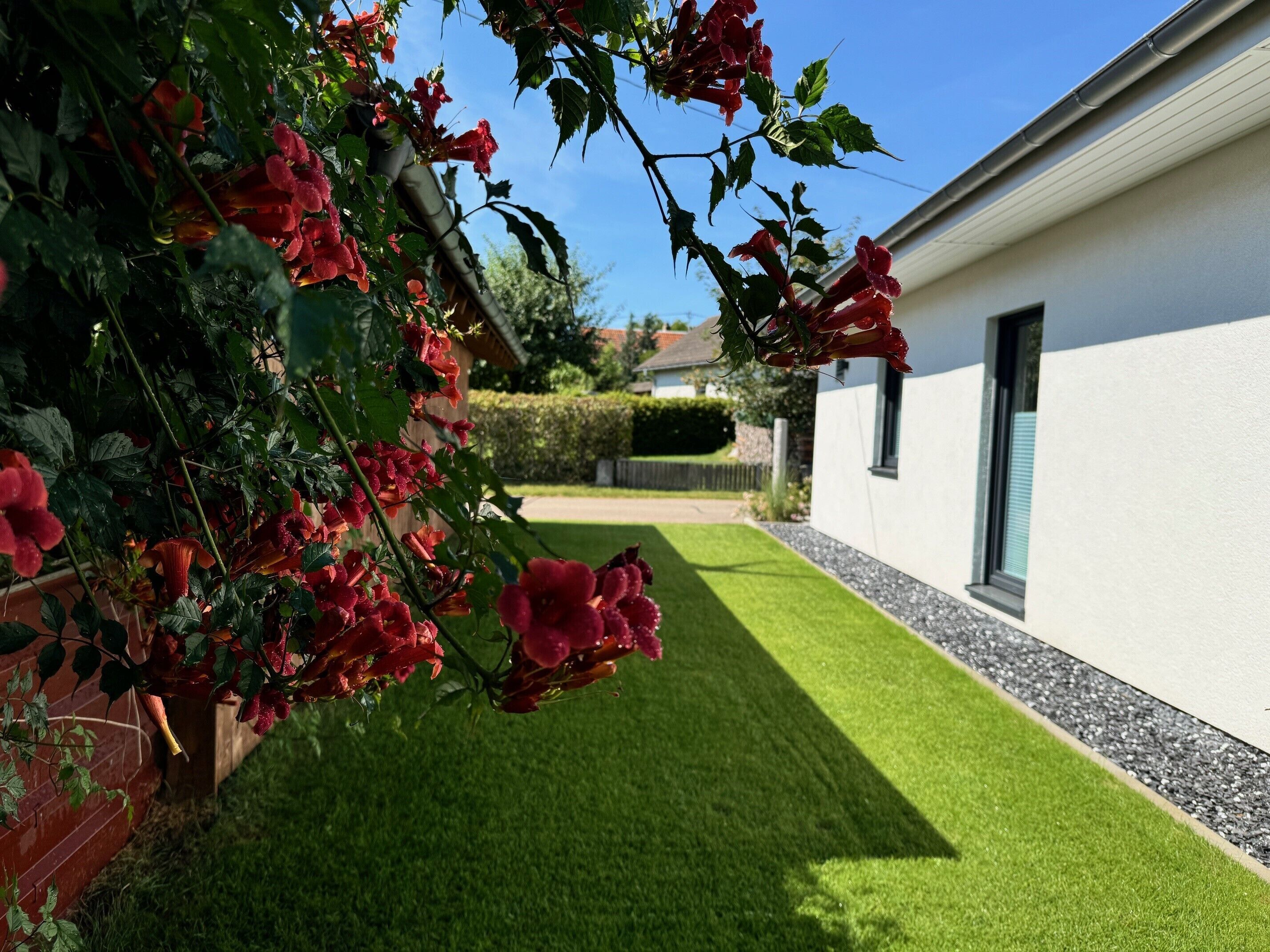 A garden with red flowers and a well-maintained lawn in front of a white building.
