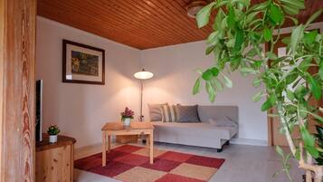 Televisión, chimenea