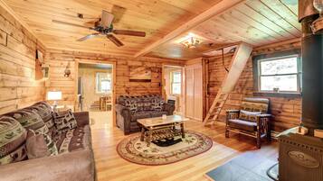 TV, fireplace, DVD player, books