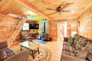 TV, fireplace, DVD player, books