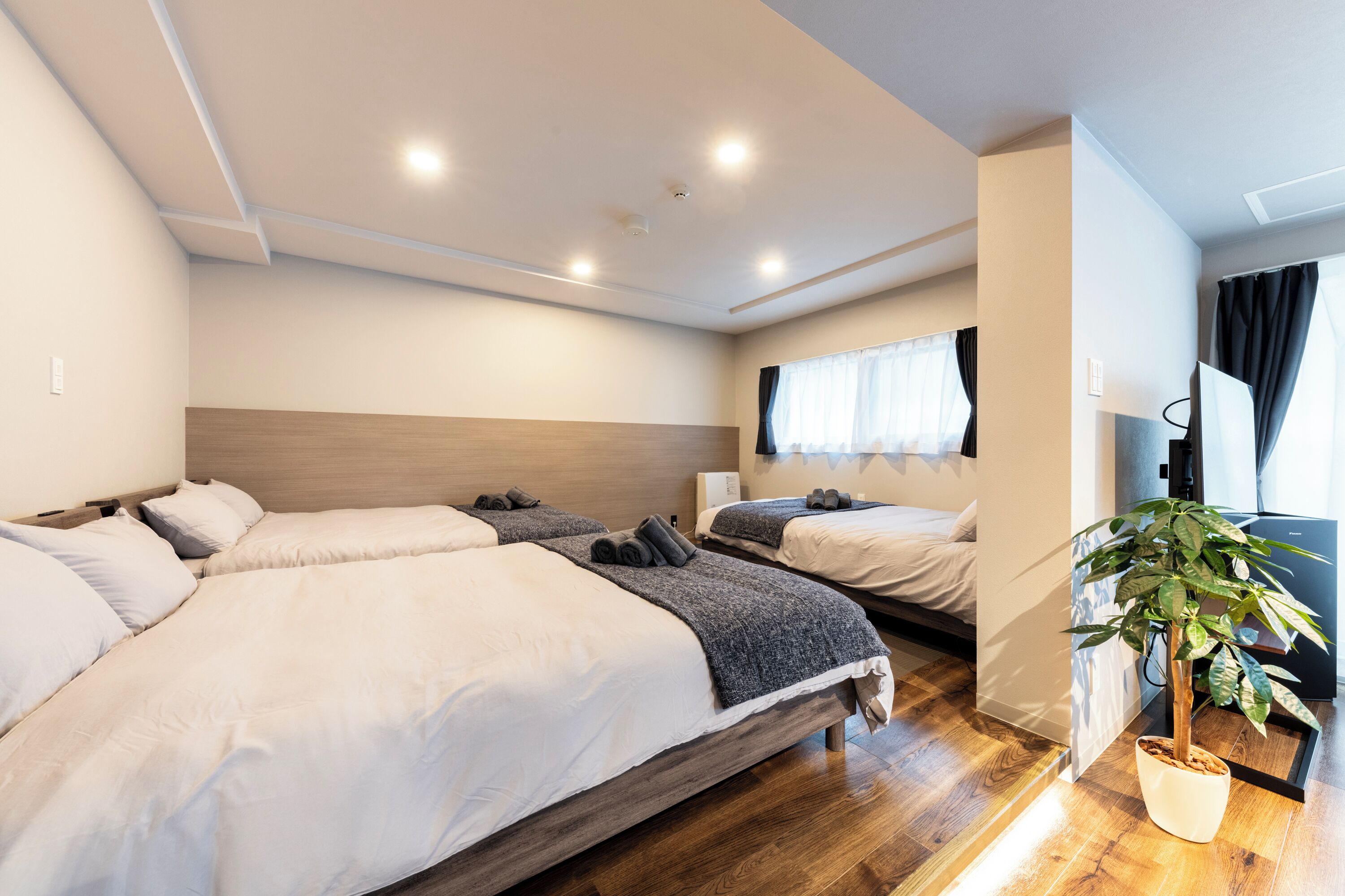 Une chambre d’hôtel moderne avec deux lits, une tête de lit en bois, une plante en pot et un téléviseur à écran plat.