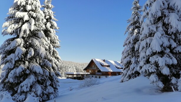 A snow-covered lodge with a wooden exterior, surrounded by snow-laden trees, under a clear blue sky. - Studio Apartment 'Heustüble' with Shared Terrace and Wi-Fi (Hinterzarten)
