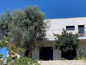 A modern building with a flat roof, large windows, and a white facade.