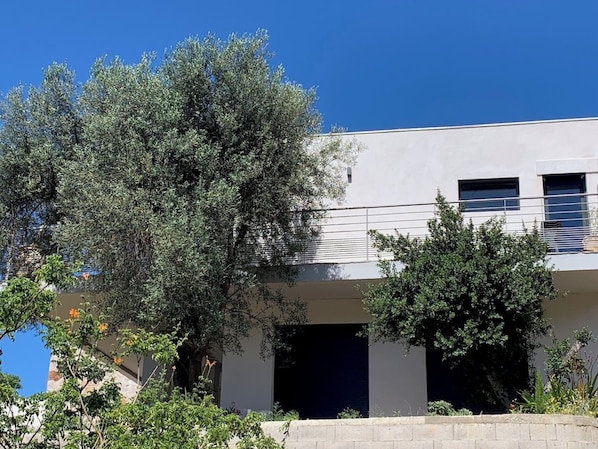 A modern building with a flat roof, large windows, and a white facade.