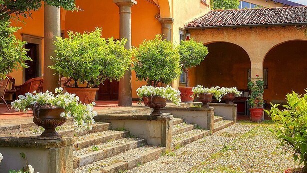 A courtyard with steps leading to an archway, surrounded by potted plants and flowers.